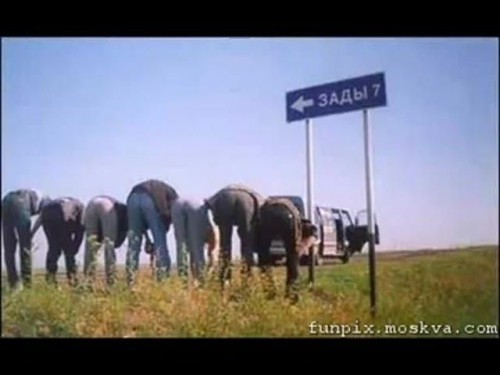 n3.jpg