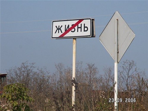 n4.jpg