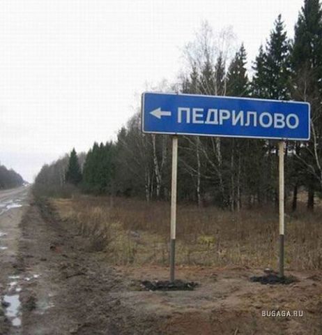 n9.jpg