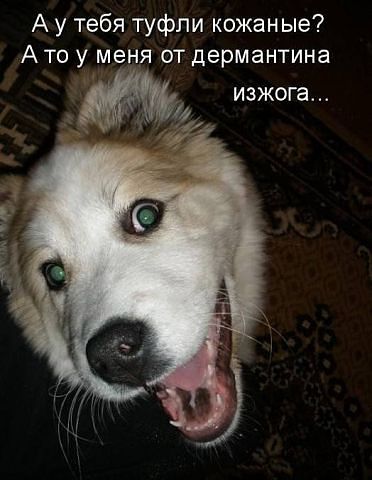 13.jpeg