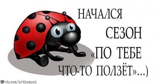 kZ1tOBog2GU.jpg
