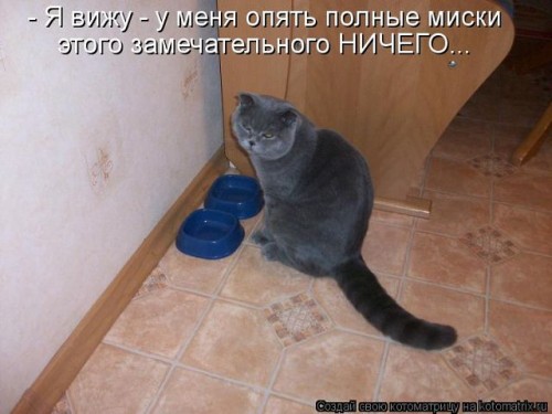 getImageCA0D47W3.jpg