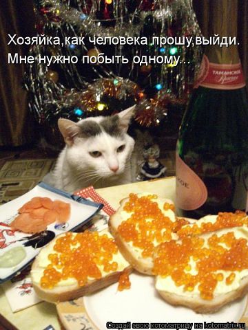 getImageCA50OPIU.jpg