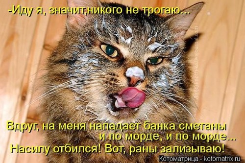 getImageCAA3UHBB.jpg