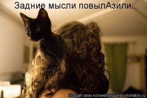 getImageCABXKP7G.jpg