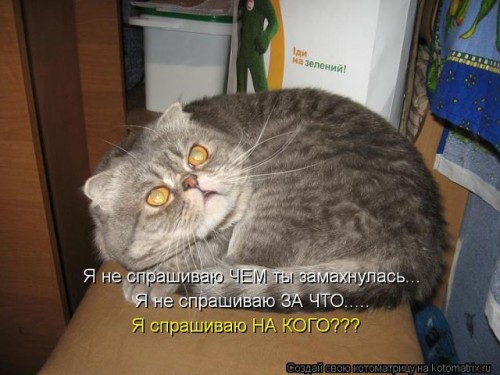 getImageCAFSVH5V.jpg