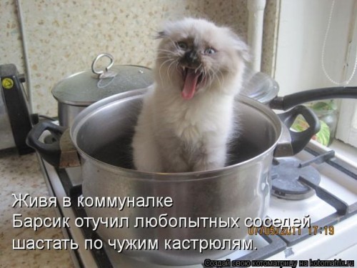 getImageCAQ8SDOT.jpg