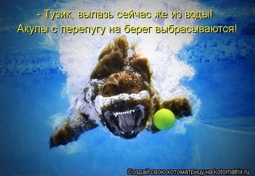 getImageCAV29EZH.jpg