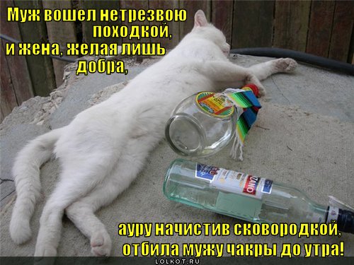 chakry_1329932260.jpg