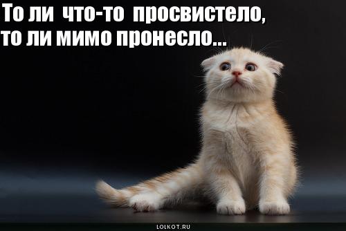 chto-to-prosvistelo_1282577515.jpg
