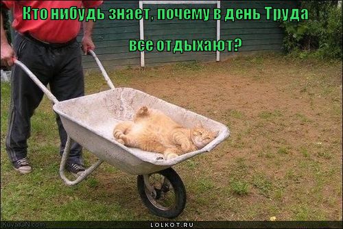 den-truda_1335892775.jpg