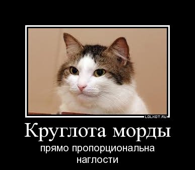 kruglota_1336560706.jpg