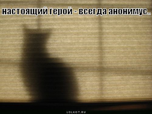 nastoyaschiy-geroy_1306213646.jpg