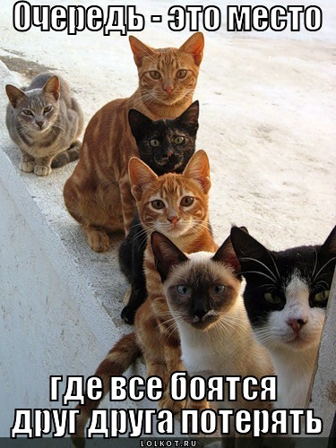 ochered_1326045287.jpg