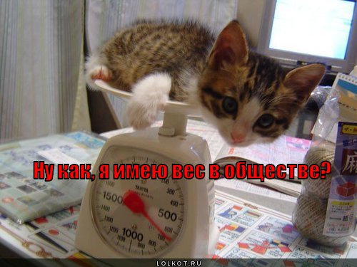 ves-v-obschestve_1338263220.jpg