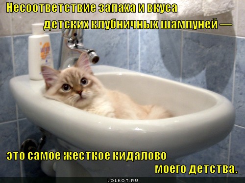 zhestkoye-kidalovo_1335763012.jpg