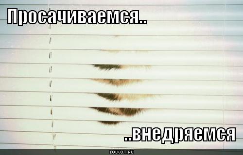 vnedryayemsya_1287113193.jpg