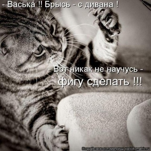 x_26993577[1].jpg