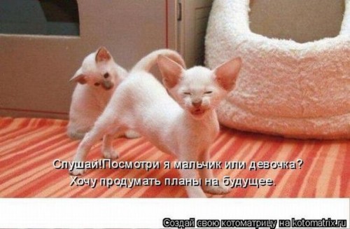x_f8353bb1[1].jpg