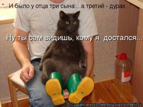 3lk2zd7umfliovrk.jpg