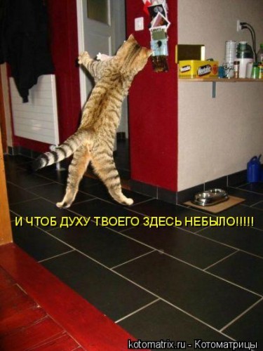 2dfaa144795c80cac7a3d04ca19a63b5_full.jpg