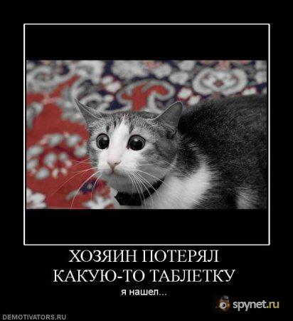 1276549644_e16177.jpg