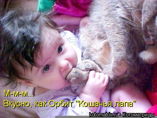 f249e1700b61c32651b0051638af5305_full.jpg