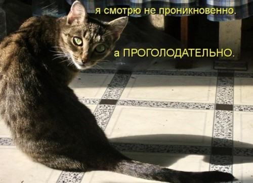 GVC7ErakIks[1].jpg