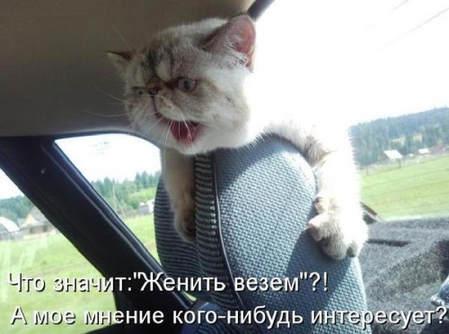 iqvpj2wczem19fah.jpg