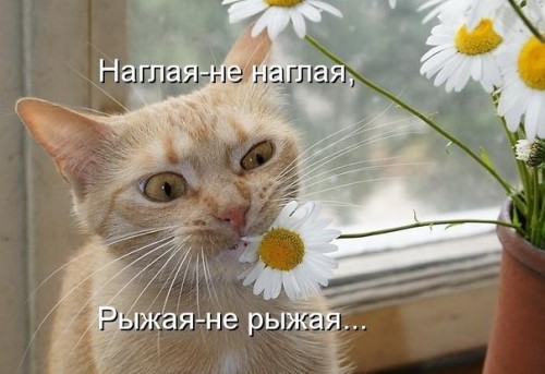 u1vj1L0M3Wc[1].jpg