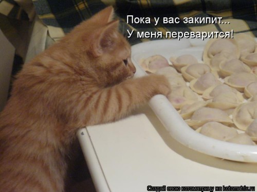 600707.jpg
