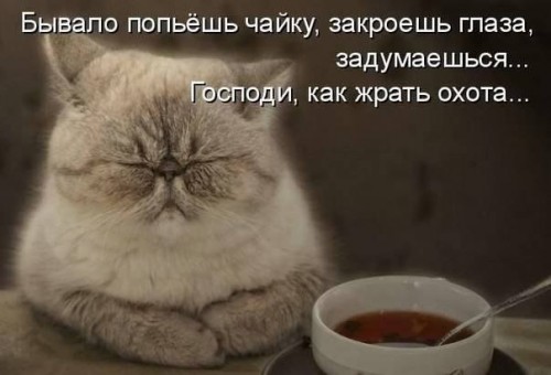 x_84891890.jpg