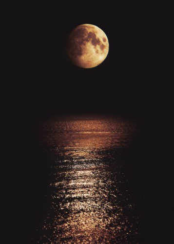 tumblr_m6x8n8cNUL1rs45nwo1_500.jpg