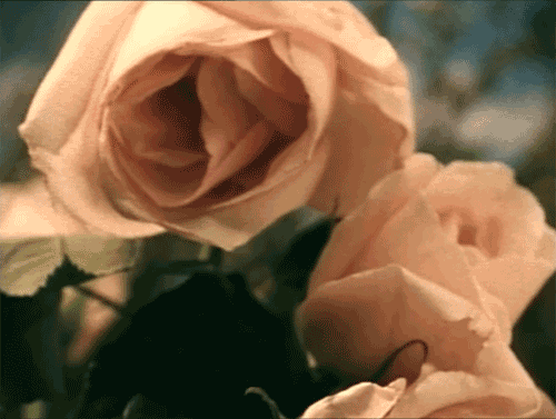 tumblr_m52alyJgcH1qim41ao1_500.gif