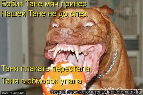kotomatrix_1111.jpg