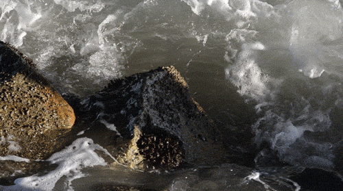 tumblr_m3xfateFyE1qzreado1_500 (2).gif