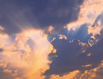 tumblr_m6d0q0hOjm1r2oa9ko1_500.gif