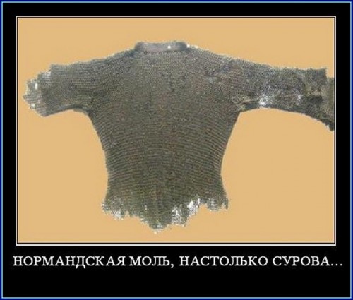 60.jpg