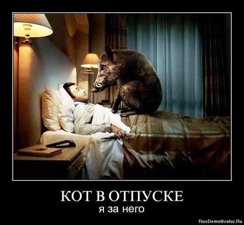 1330334963_qxj763awkhjj.jpg