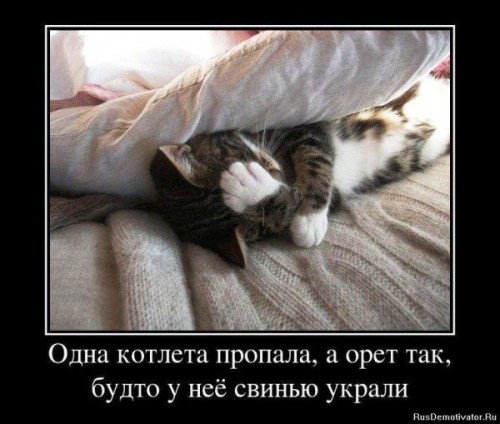 1330335050_23642216_gospodiii.jpg