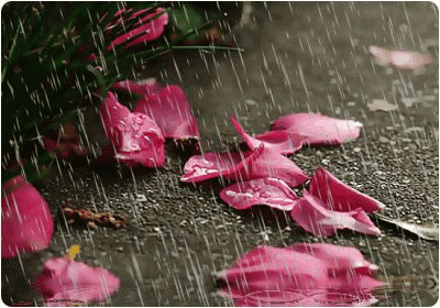 tumblr_m5vmbv54541rywgiyo1_400.gif