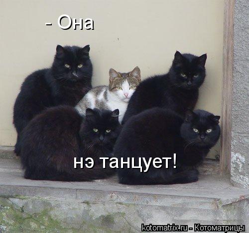 37340737_1230483508_newstxtd.jpg