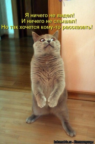 kotomatrix_50.jpg