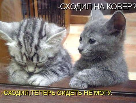 0nnl8gK-OKY.jpg