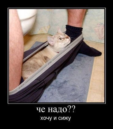 1315916439_demki-14.jpg