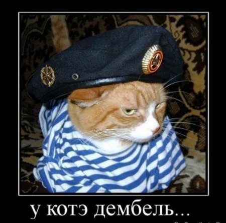 1315916460_demki-1.jpg