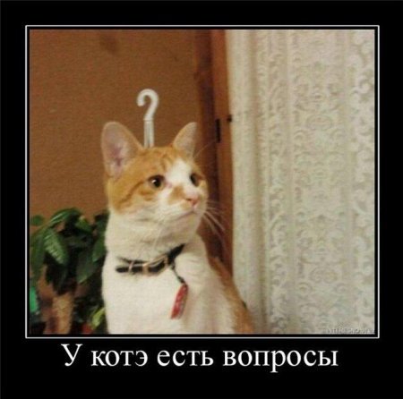 1315916463_demki-12.jpg
