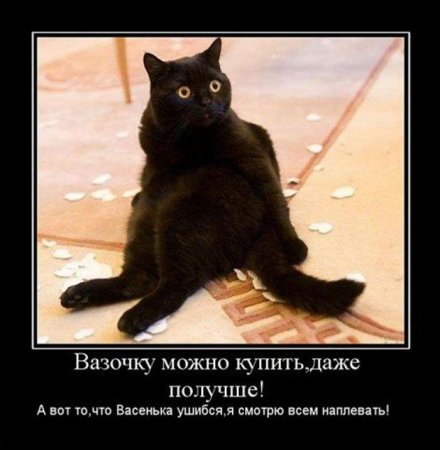 1315916465_demki-13.jpg