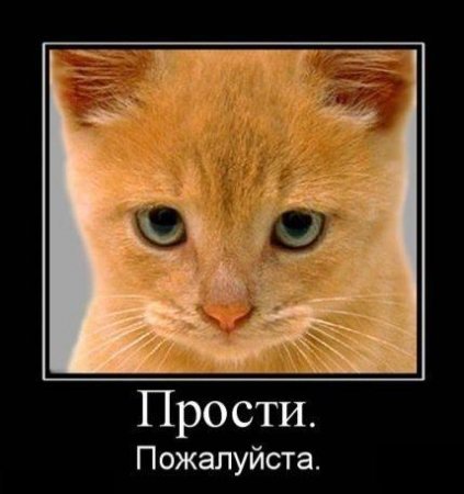 1315916500_demki-3.jpg