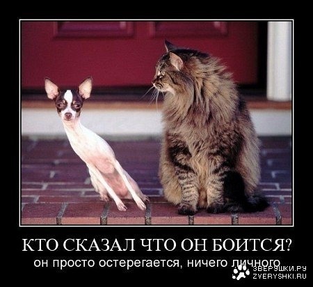 x_446e97d9.jpg